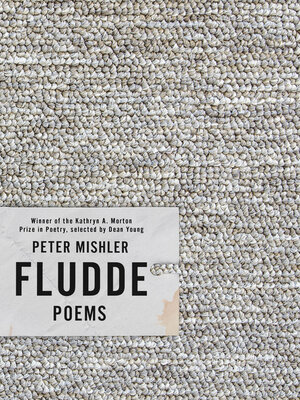 cover image of Fludde